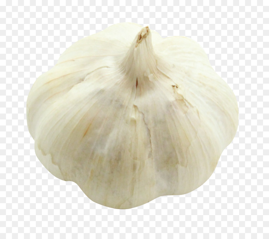 Elephant garlic - Garlic png download - 2116*1836 - Free Transparent Garlic png Download.