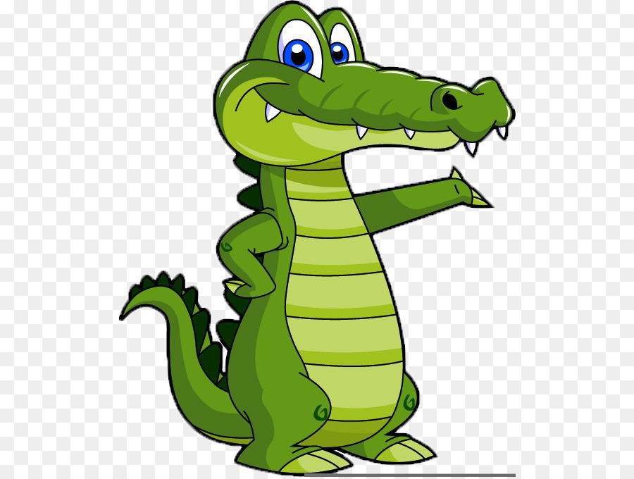 Alligator Crocodile Drawing Cartoon Clip art - alligator png download - 564*677 - Free Transparent Alligator png Download.