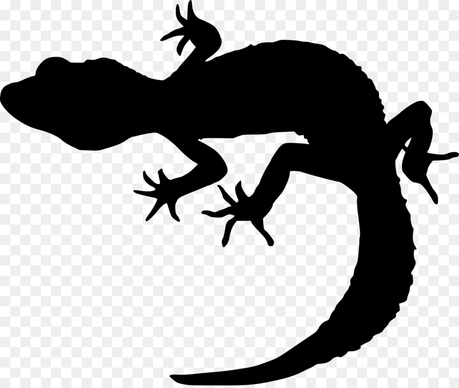 Clip art Gecko Portable Network Graphics Silhouette Lizard - dragon drawing png silhouette png download - 3062*2570 - Free Transparent Gecko png Download.