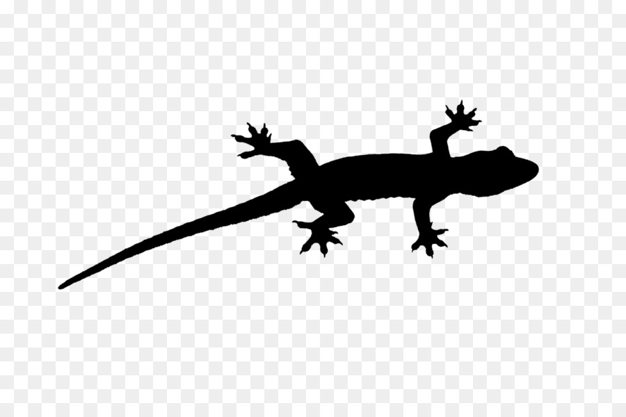 Gecko Lizard Fauna Font Silhouette -  png download - 1240*826 - Free Transparent Gecko png Download.