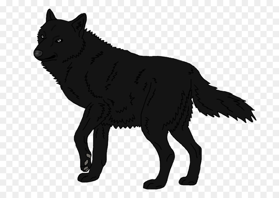Schipperke Arctic wolf Mexican wolf Black wolf Arctic fox - wolf png download - 804*626 - Free Transparent Schipperke png Download.