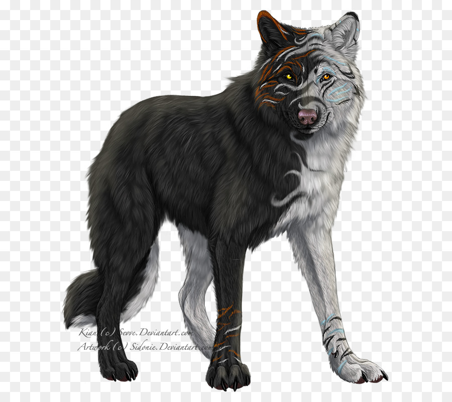 Arctic wolf Black wolf German Shepherd Werewolf Art - furry wolf png download - 682*800 - Free Transparent Arctic Wolf png Download.