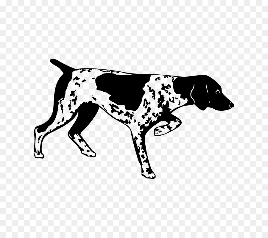 German Shorthaired Pointer Decal Pointing breed Bird dog - Pointer DOG png download - 800*800 - Free Transparent German Shorthaired Pointer png Download.