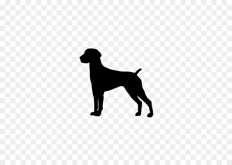 Labrador Retriever German Shorthaired Pointer Boxer Weimaraner - others png download - 640*640 - Free Transparent Labrador Retriever png Download.