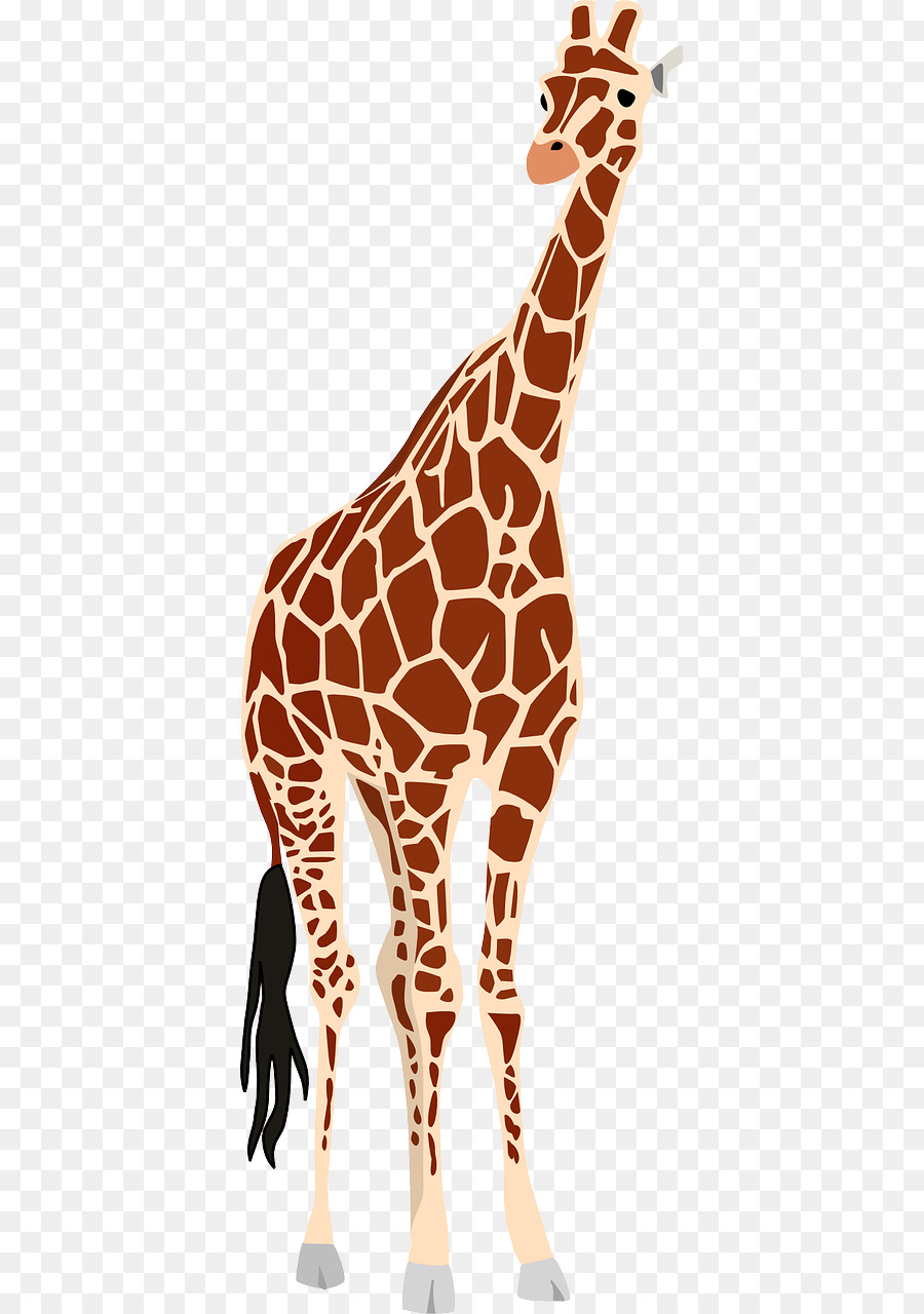 Giraffe Clip art - Tall giraffe png download - 640*1280 - Free Transparent Giraffe png Download.