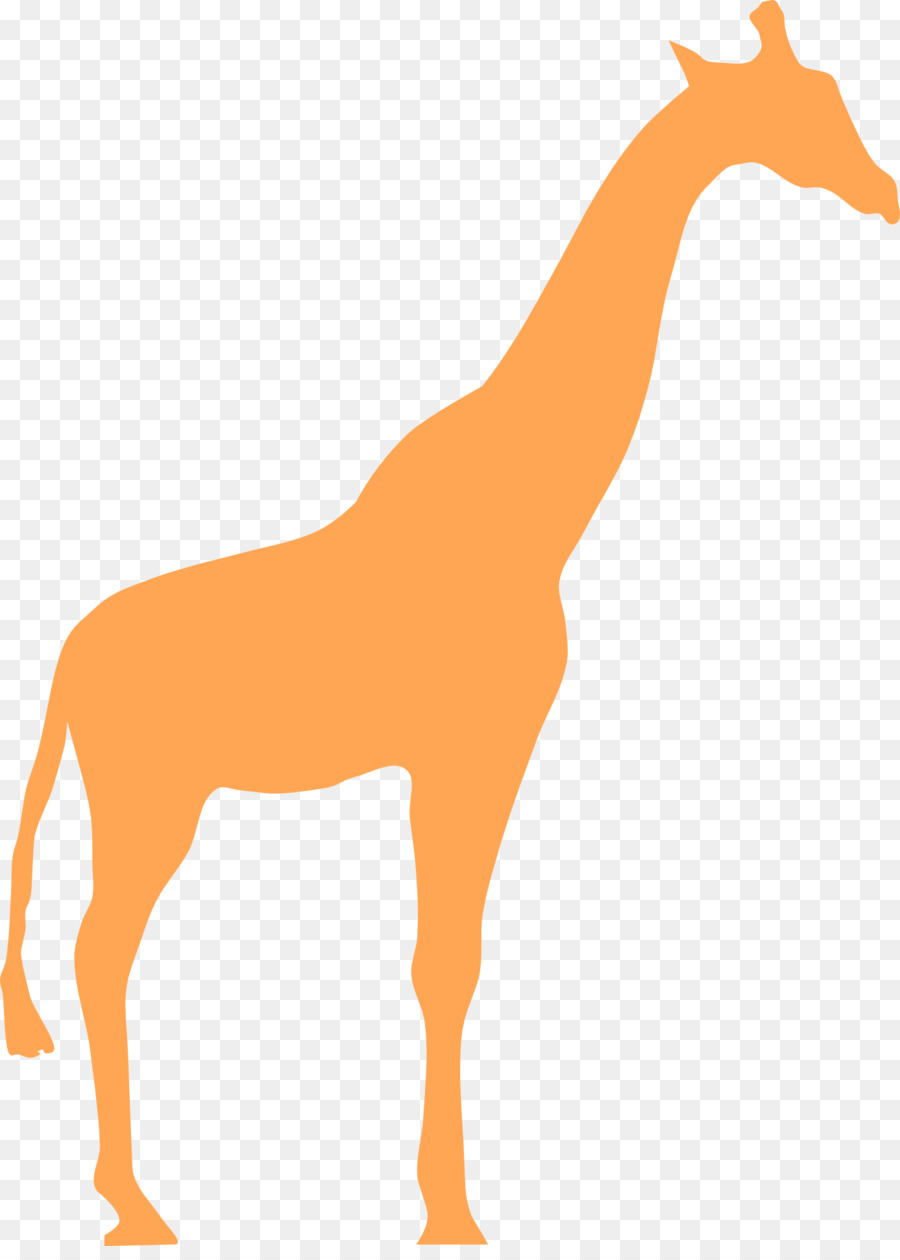Northern giraffe Silhouette Clip art - giraffe png download - 1387*1920 - Free Transparent Northern Giraffe png Download.