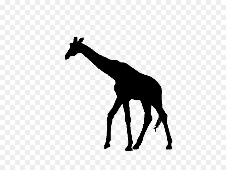 Silhouette Clip art - Sillouette Giraffe png download - 1024*768 - Free Transparent Silhouette png Download.