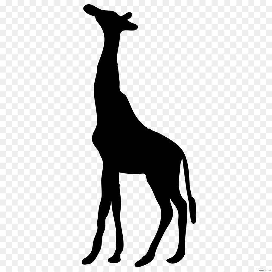Silhouette West African giraffe Clip art - Silhouette png download - 2400*2400 - Free Transparent Silhouette png Download.