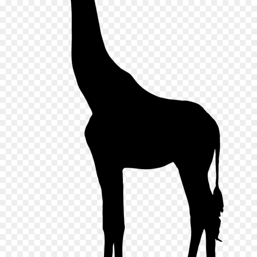Giraffe Silhouette Mustang Clip art - Giraffe silhouette png download - 1024*1024 - Free Transparent  png Download.