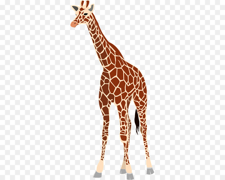 Baby Giraffes Drawing Clip art - giraffehd png download - 360*720 - Free Transparent Giraffe png Download.