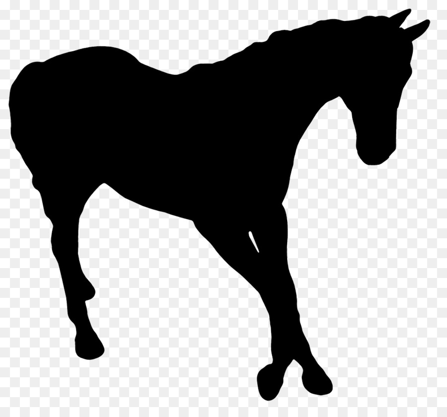 Horse Silhouette Photography - horse png download - 1004*920 - Free Transparent Horse png Download.