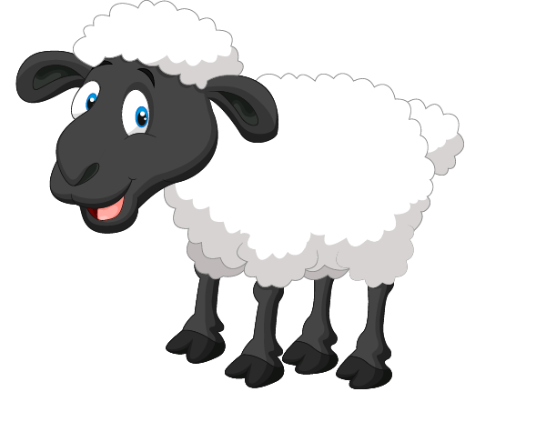 cute sheep vector