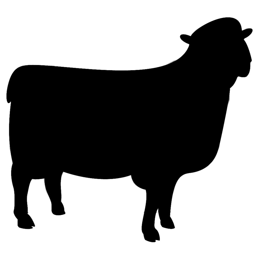 Sheep T-shirt Silhouette Blackboard Shadow - Chalkboard Cliparts Shape png download - 1000*1000 - Free Transparent Sheep png Download.