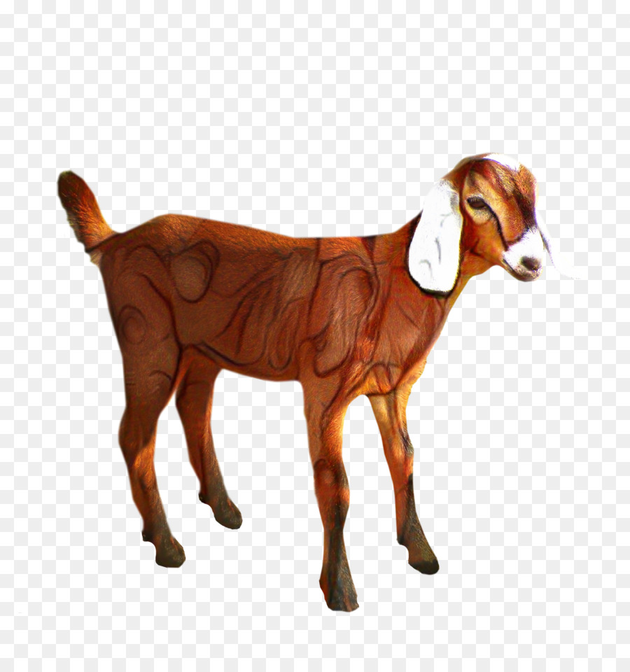 Clip art Portable Network Graphics Transparency Sheep Boer goat -  png download - 2651*2820 - Free Transparent Sheep png Download.
