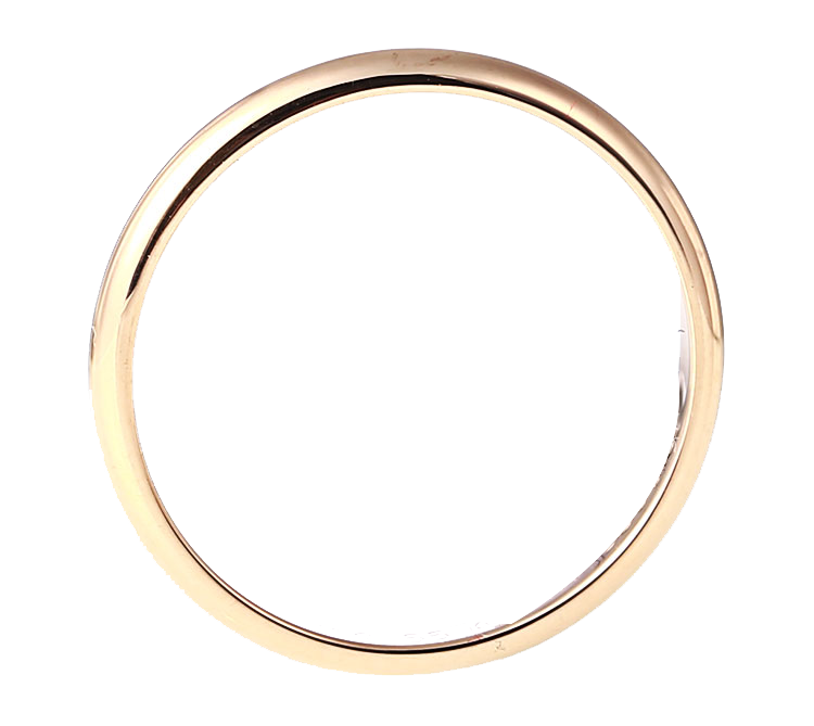 Gold Circle Jewellery Gold Circlegold Circle Png Download 750669