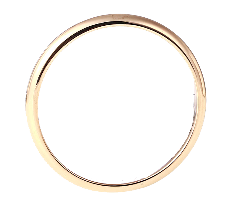 Gold Circle Jewellery - Gold circle,Gold circle png download - 750*669