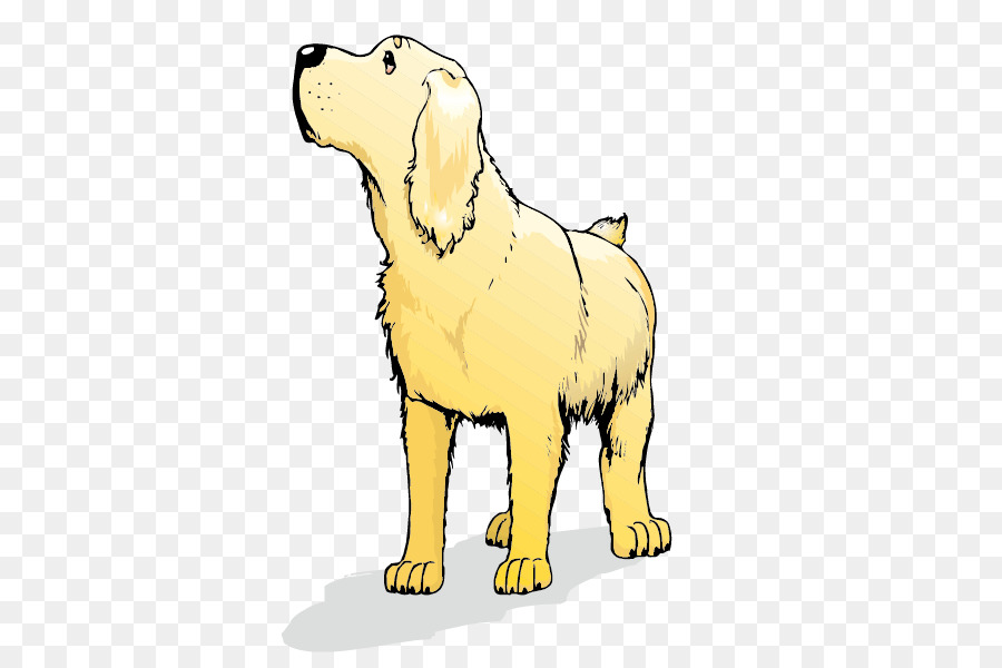 Golden Retriever Labrador Retriever Goldendoodle Labradoodle Italian Greyhound - Cartoon Golden Retriever png download - 842*596 - Free Transparent Golden Retriever png Download.