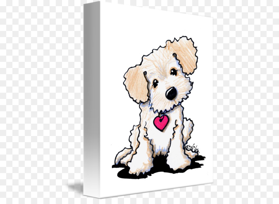 Goldendoodle Labradoodle Maltese dog Golden Retriever Puppy - doodle dog png download - 487*650 - Free Transparent Goldendoodle png Download.