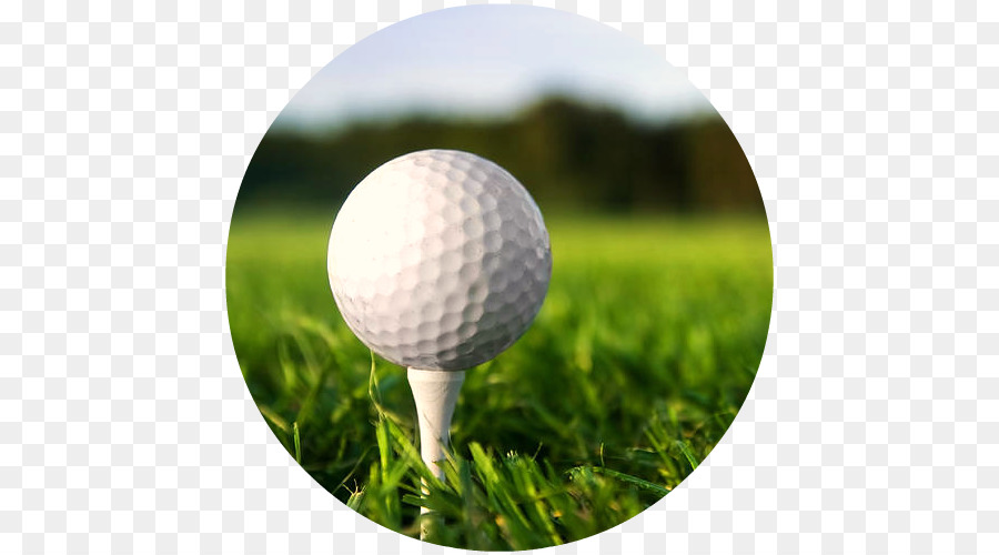 Golf Balls Golf Tees Golf course - golf club png download - 500*500 - Free Transparent Golf Balls png Download.