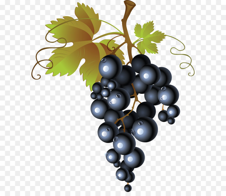 Juice Wine Grape - Grape PNG image png download - 2980*3504 - Free Transparent Common Grape Vine png Download.
