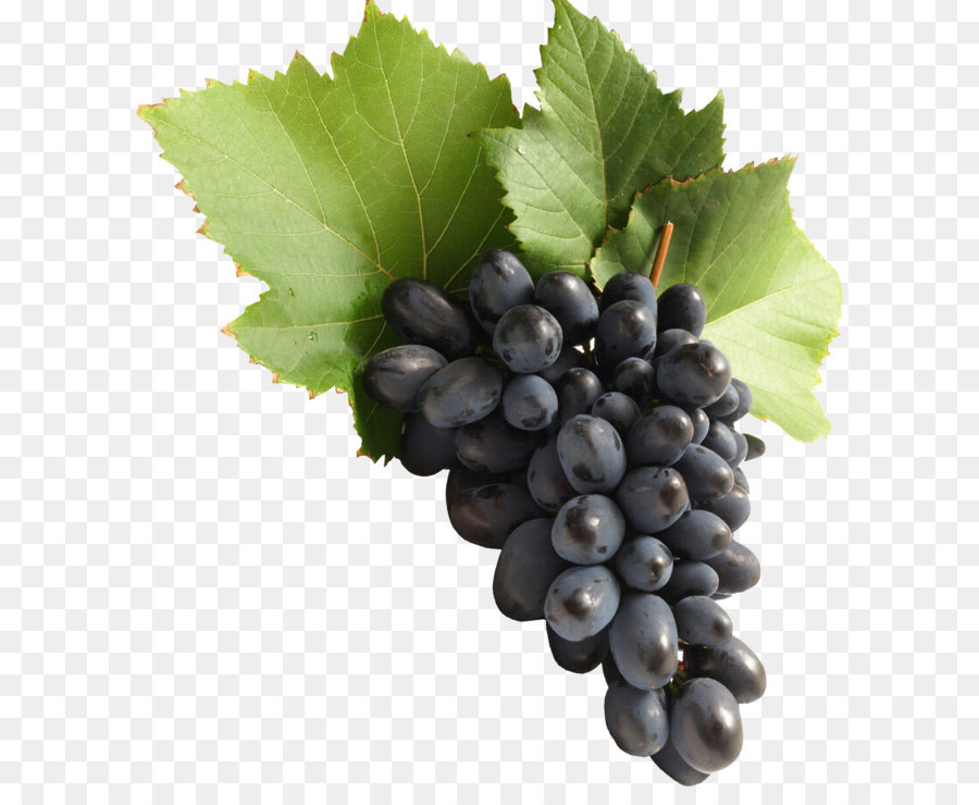 Grape Wallpaper - Grape PNG image download, free picture png download - 1788*2134 - Free Transparent Common Grape Vine png Download.