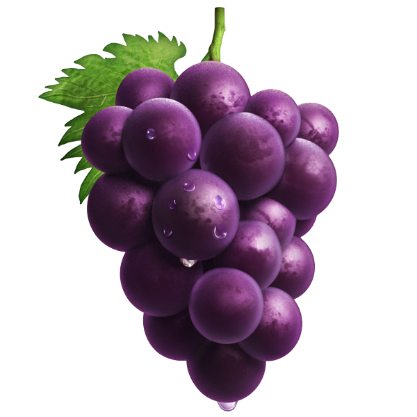 Grape - Hand-painted purple grapes png download - 600*600 - Free