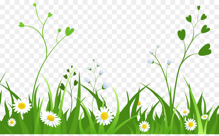 Flower Grasses Clip art - Cliparts Grass Border png download - 4039*2482 - Free Transparent Flower png Download.