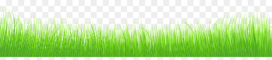 Wheatgrass Green Leaf Plant stem Wallpaper - Cliparts Grass Border png download - 11350*2396 - Free Transparent Wheatgrass png Download.