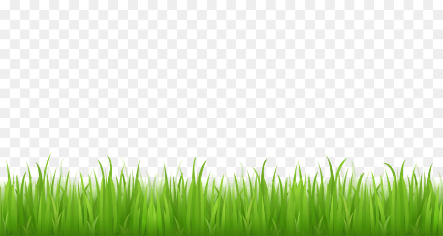 Free content Clip art - Football Grass Cliparts png download - 1300*693 - Free Transparent Free Content png Download.