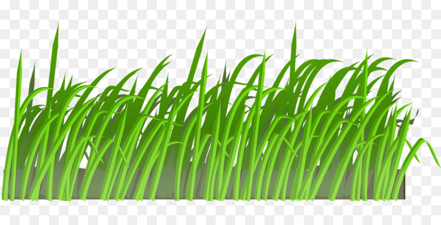 Clip art Portable Network Graphics Transparency Lawn Image - clipart grass png download - 960*480 - Free Transparent Lawn png Download.