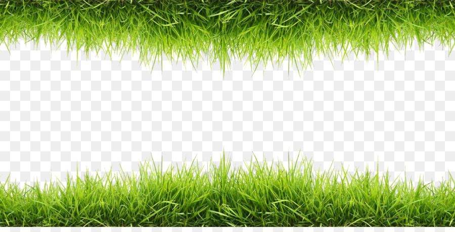 Wallpaper - Grass png download - 1700*850 - Free Transparent Lawn png Download.