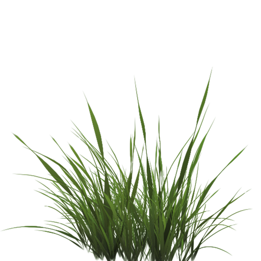 Texture Mapping Drawing Lawn Tall Grass Texture Alpha Png Download 512 512 Free Transparent Texture Mapping Png Download Clip Art Library