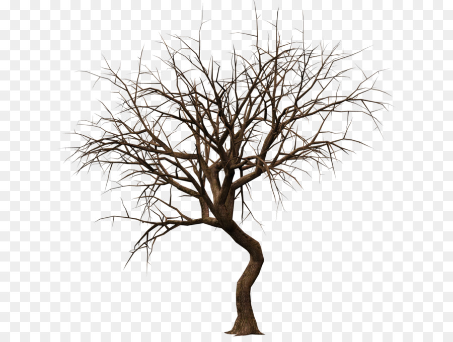 Drawing Tree Silhouette Clip art - love tree png download - 1024*768 - Free Transparent Drawing png Download.