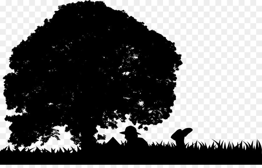 Tree Silhouette Clip art - trees plan png download - 2400*1518 - Free Transparent Tree png Download.