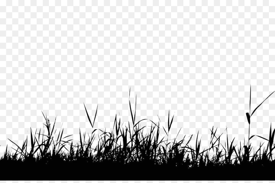 Silhouette Royalty-free Photography Clip art - Disorderly grass png download - 1000*658 - Free Transparent Silhouette png Download.