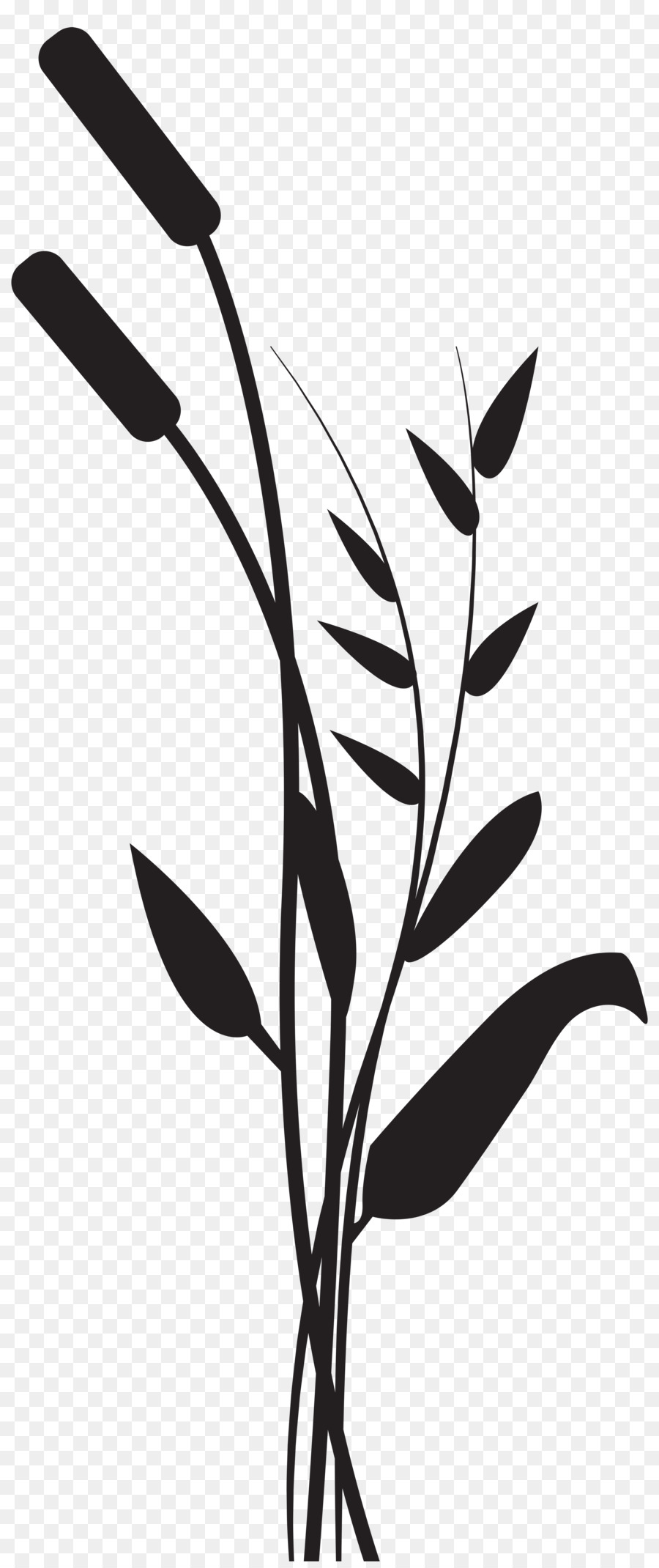 Silhouette Drawing Photography Clip art - silhouette grass png download - 3378*8000 - Free Transparent Silhouette png Download.