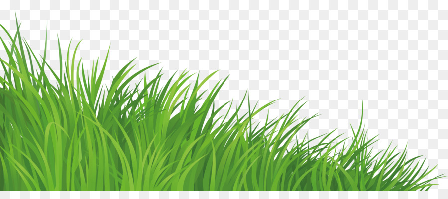 Lawn Clip art - silhouette grass png download - 7298*3112 - Free Transparent Lawn png Download.