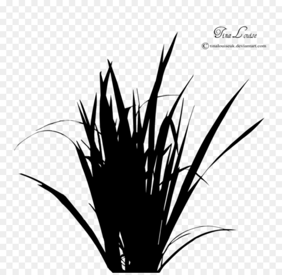 Silhouette - underbrush png and psd png  psd grass png download - 907*880 - Free Transparent Silhouette png Download.