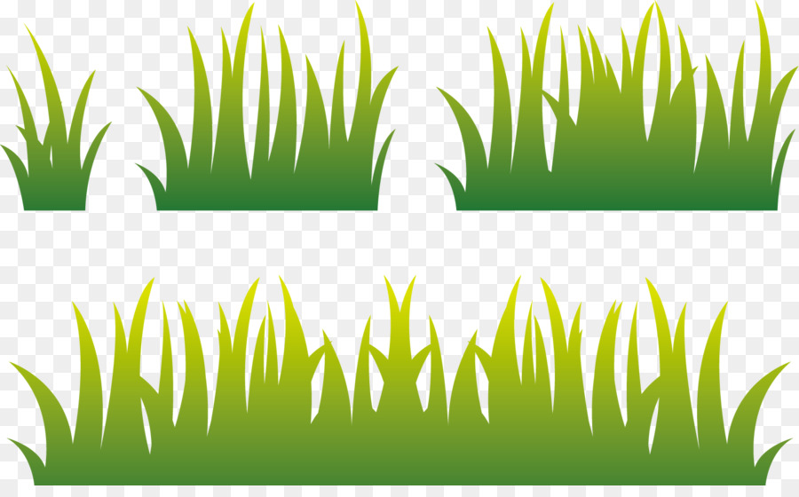 Lawn Euclidean vector - Paddy field png download - 1646*1000 - Free Transparent Lawn png Download.