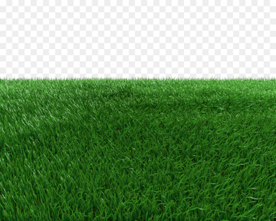 Artificial turf Green Meadow Grasses - Field Transparent Background png download - 999*799 - Free Transparent Artificial Turf png Download.