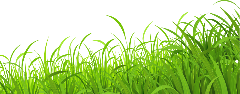 Free Png Download Grass With Butterfliespicture Png  Grass Background  Clipart Png Transparent Png  Transparent Png Image  PNGitem