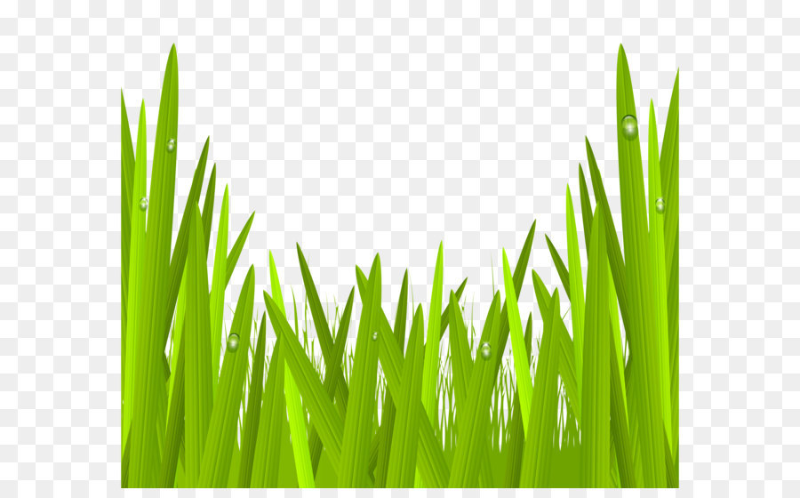 Green Glass - Green Grass Transparent PNG Clip Art Image png download - 8000*6751 - Free Transparent BORDERS AND FRAMES png Download.