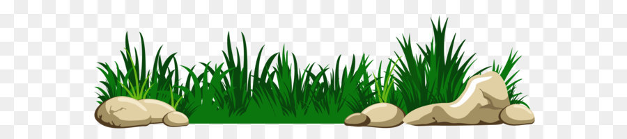 Download Clip art - Grass with Rocks Transparent PNG Clipart png download - 6084*1755 - Free Transparent Animation png Download.