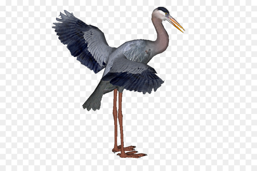 Great blue heron White stork - crane png download - 558*592 - Free Transparent Heron png Download.