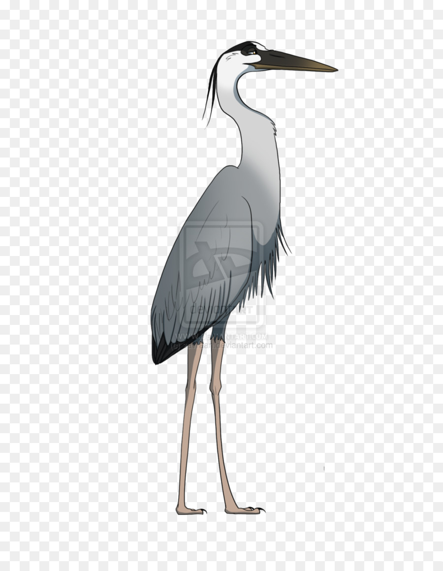 Great blue heron Crane Stork Drawing - great clipart png download - 1024*1298 - Free Transparent Heron png Download.