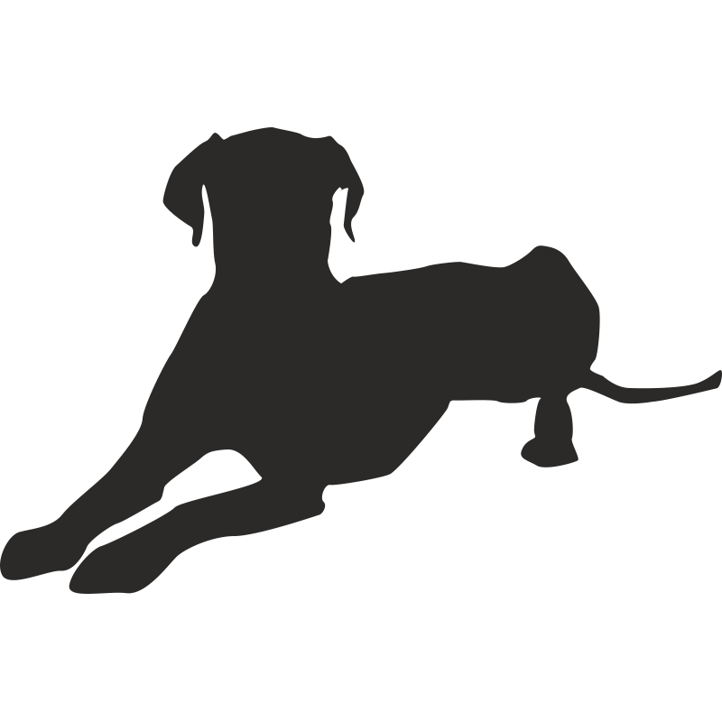 Great Dane Puppy Dog breed Clip art - puppy png download - 800*800