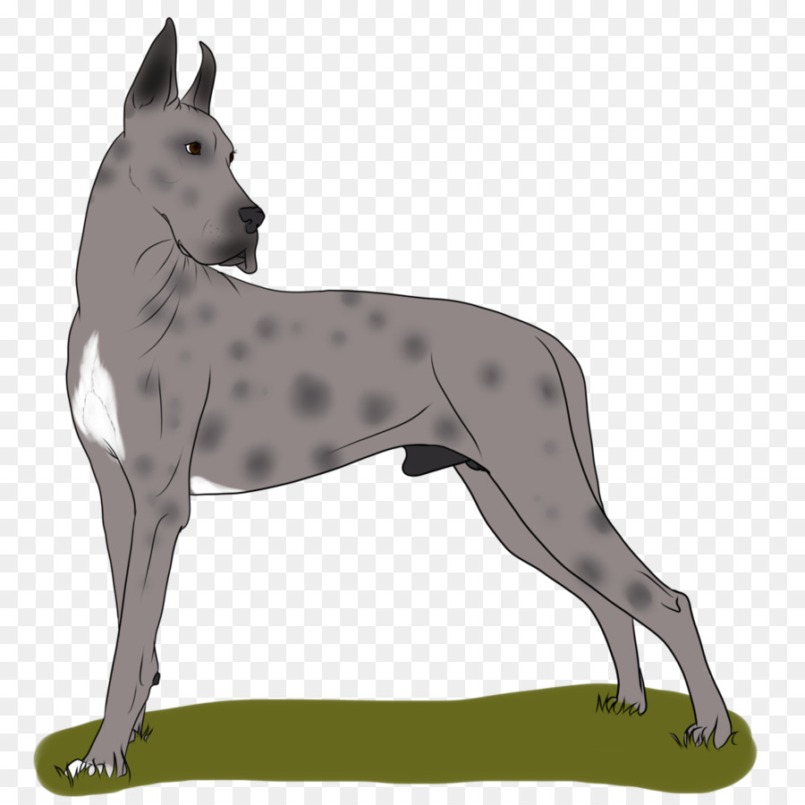 Great Dane Dog breed Non-sporting group - great dane silhouette png download - 894*894 - Free Transparent Great Dane png Download.