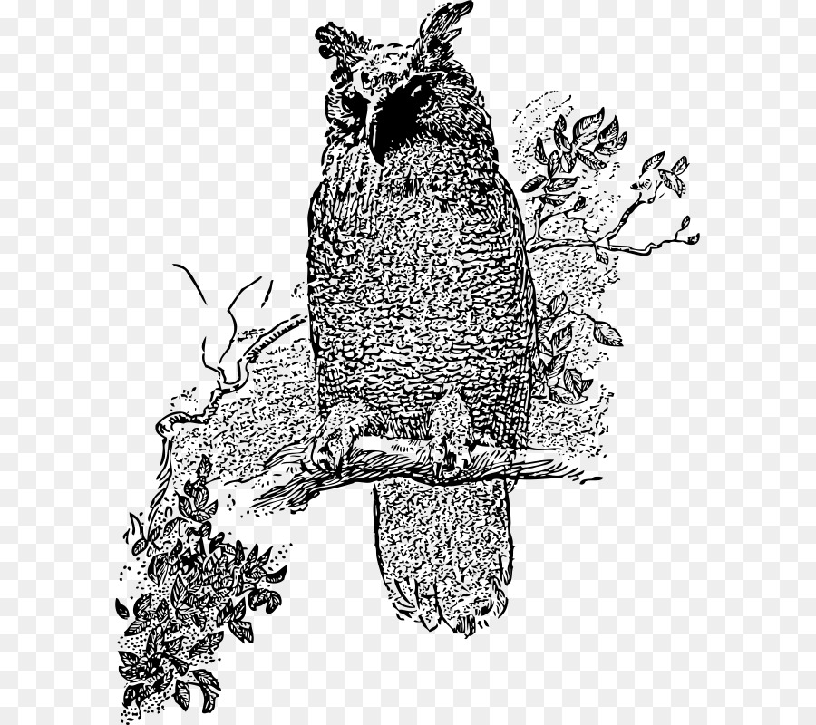 Great Horned Owl Bird Barred Owl Clip art - owl png download - 645*800 - Free Transparent Owl png Download.