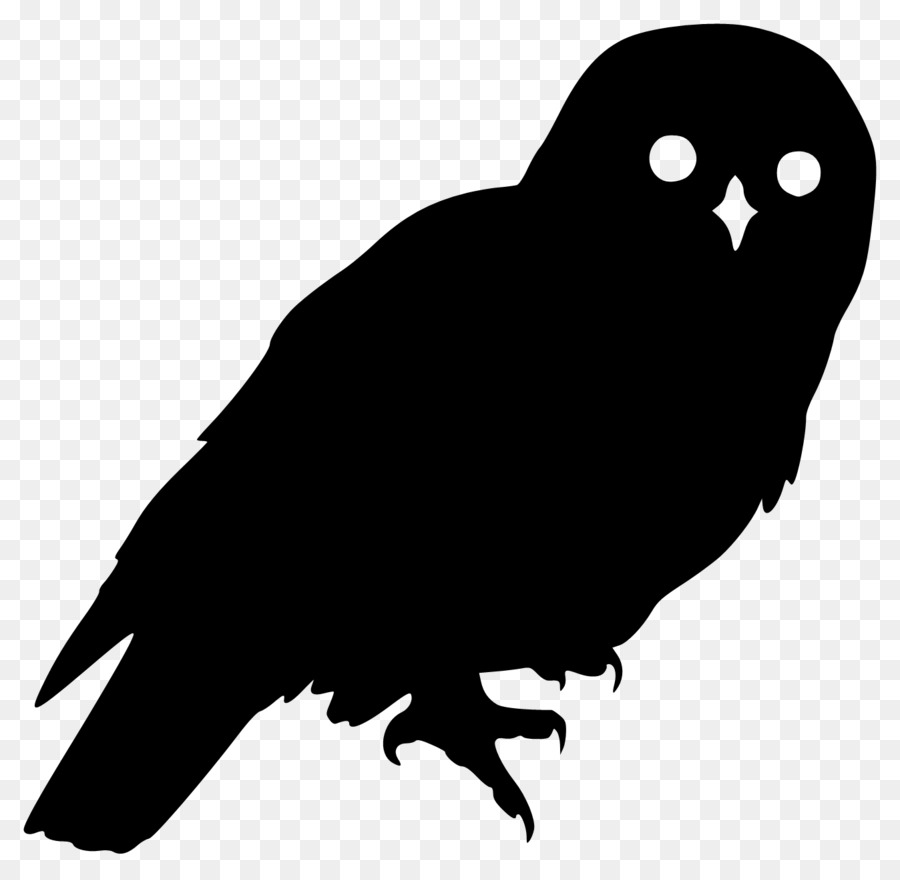 Barred Owl Silhouette Clip art - owls png download - 1348*1314 - Free Transparent Owl png Download.