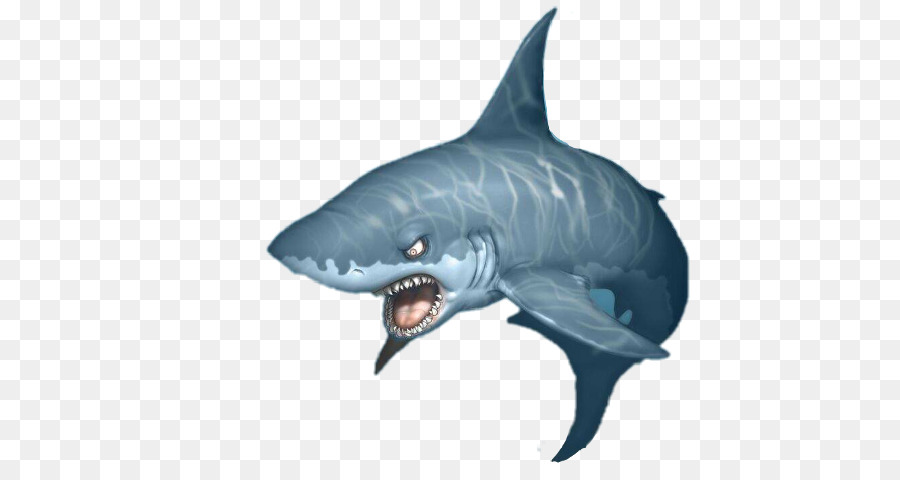 Sawshark Great white shark Whale shark Clip art - shark png download - 676*480 - Free Transparent Shark png Download.